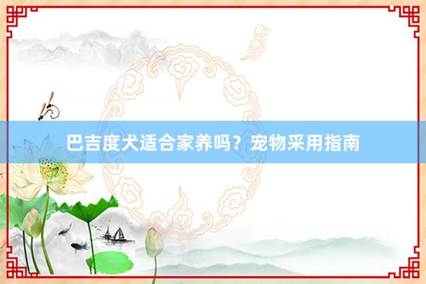 巴吉度犬适合家养吗？宠物采用指南