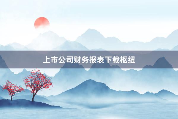 上市公司财务报表下载枢纽