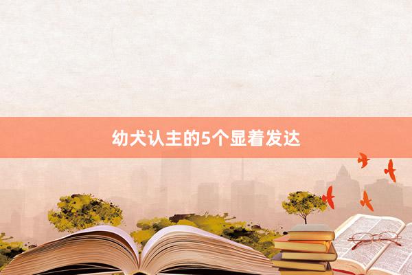 幼犬认主的5个显着发达